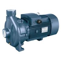 Моноблочный насос с резьбовыми патрубками Purity PCm 560C (N)