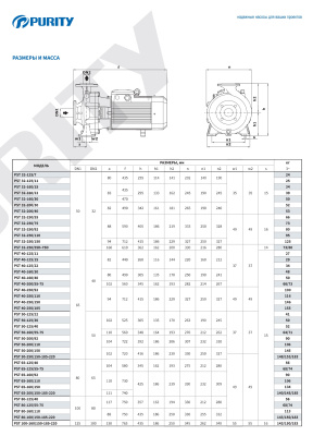 Консольно-моноблочный насос Purity PSTC 80-125/40 (N)