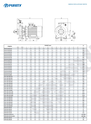 Консольно-моноблочный насос Purity PSTC 40-250/185 (N)